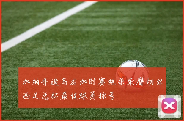 加纳乔造乌龙加时赛绝杀荣膺切尔西足总杯最佳球员称号