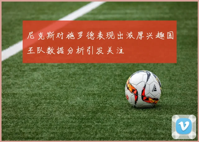 尼克斯对施罗德表现出浓厚兴趣国王队数据分析引发关注